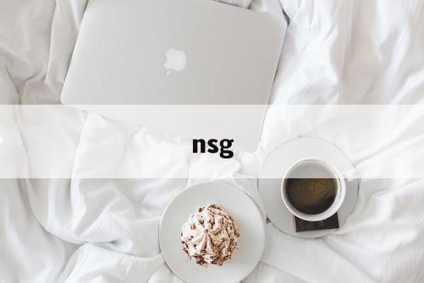 nsg:(网络nsg是什么意思)